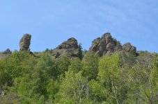 DSC_0921.jpg
