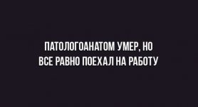 zPQHVdwz8_k.jpg